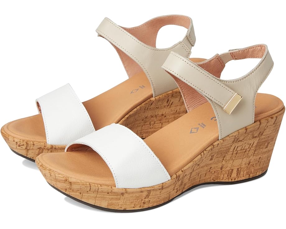NAOT Summer