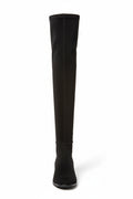 PEDRO GARCIA Yule Knee-High Suede Boot (Discount Offer)