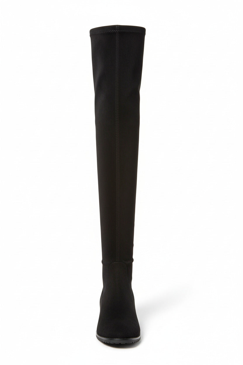 PEDRO GARCIA Yule Knee-High Suede Boot (Discount Offer)